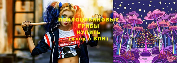 СК Балахна